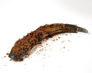 Endonezya yayın balığı pilavı, izole edilmiş beyaz arka plan. pirinç şekillendirilmiş ve servis edilmiş.