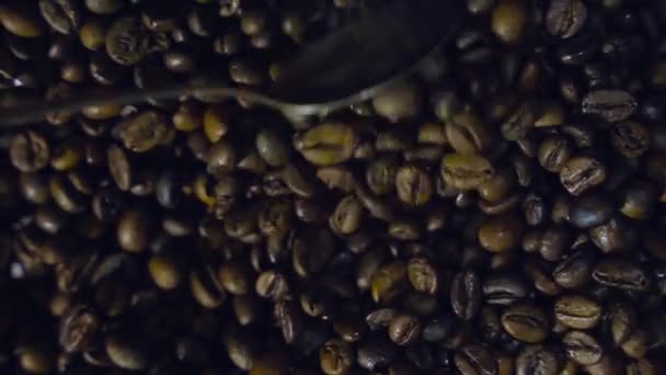 Frissen Pörkölt Illatos Kávébab Serpenyőben Egész Kompozíció Lassan Forog Kamera — Stock videók