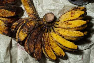 Doğal bir geçmişi olan çiğ muz. Bu kepok (gepok) muz. Tadı çok tatlı değil ve genellikle kızarmış muz olarak kullanılır. Bir avuç saba muzu..