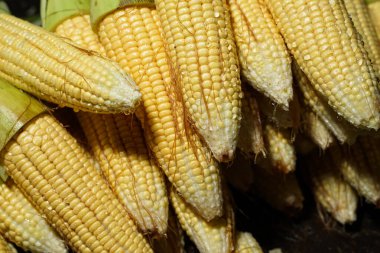 Soyulmuş mısır yığını yemek malzemesi olarak kullanılmaya hazır. Soyulmuş mısır deriyi üste bırakır. Mısır koçanlı market tezgahı. Taze pazarda tatlı mısır satışı. Geleneksel pazarda taze sebzeler.