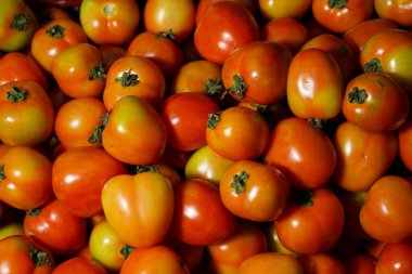 Lezzetli kırmızı domatesler arka plan olarak kullanılabilir. (seçici odaklanma). Sancak manzarası için domates sebze konsepti alanı. Arka plan için domates. Düzenli domates tüketen sağlıklı gözler..