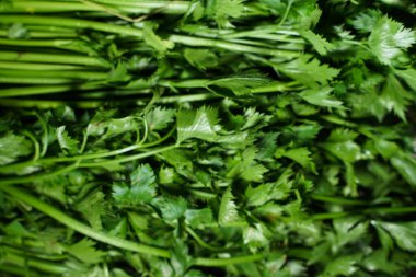 Piyasada bulunan ve yeni toplanmış kereviz yığınları. Bu sebze genellikle ilave çorba için kullanılır. Taze yeşil kereviz soyut bir arkaplan olarak kullanılabilir. Diyet için sebze..