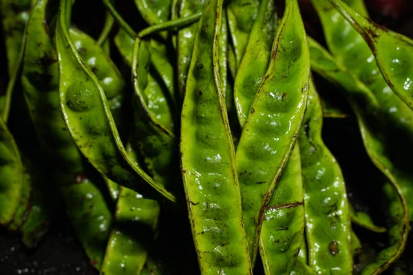 Petai Pete Para Comida Tradicional Plato Indonesia Petai Pete Semilla — Foto de Stock