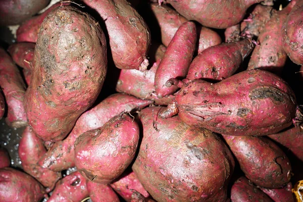 Närbild Sötpotatis Färska Hel Del Sötpotatis Från Gården För Näringsidkare — Stockfoto