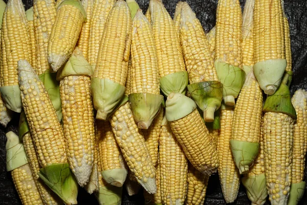 Pile Peeled Corn Ready Used Cooking Ingredient Peeled Corn Leaving — Stock Photo, Image