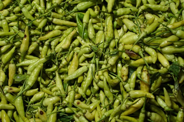 Zelené Čerstvé Chilli Papričky Pozadí Detailní Záběr Míchaných Zelených Papriček — Stock fotografie