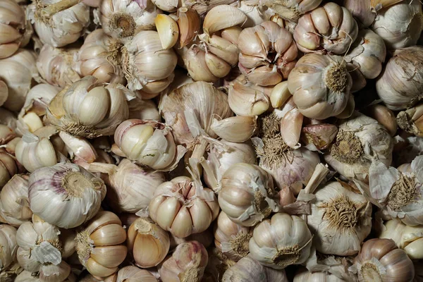 Φρέσκα Κρεμμύδια Στην Αγορά Φόντο Κρεμμυδιού Βολβού Στο Πάνω Μέρος — Φωτογραφία Αρχείου