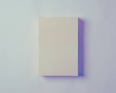 Arka plan ile aynı renge sahip dikdörtgen bir nesne. Tek yönlü ışıklandırmayla, fotoğrafları hatırlanabilir ve minimalist yapıyor. Renk oyunu modellemesi.