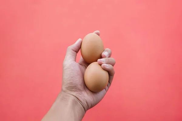 Hand holding grains of chicken egg isolated on pink background. Perfect mix of hand skin tones, egg tones and backgrounds. The hand that holds a future. Reach out to give chicken eggs.