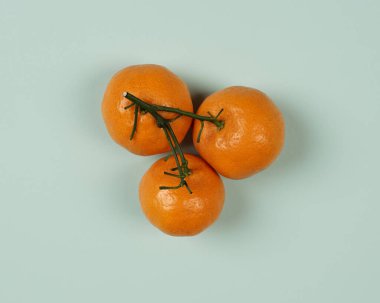 Citrus meyveleri vücut için sağlıklı olan bol miktarda C vitamini içerir. Portakallar doğrudan tüketilebilir ya da portakal suyuna dönüştürülebilir. Turunçgillerin çeşitli çeşitleri vardır, bunlardan biri Mandari portakalıdır..