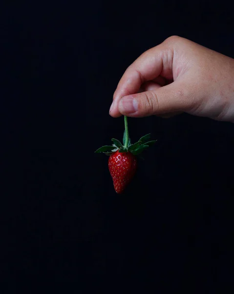 Fresh strawberries isolated on dark background. In addition to its delicious taste, strawberries also have benefits for the body, such as increasing immunity and preventing cancer. Strawberry mockup.