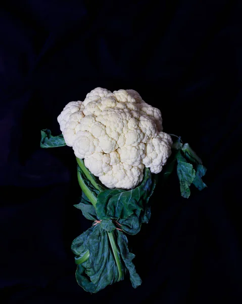 Fresh broccoli for your breakfast menu. Broccoli is a green vegetable from the cabbage family. Broccoli is well-known as a food source that contains a variety of nutrients and nutrients. Focus blur.