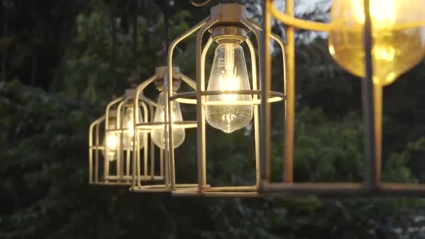 Chandelier Aesthetic Iron Frame Dusk Surrounding Natural Atmosphere Surrounded Shady — Stock Video