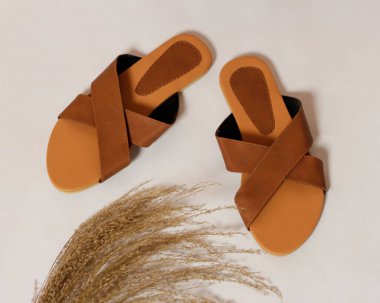 Kadın sandaletleri, açık ve koyu kahverengiyle basit ve zarif bir tasarımın karışımıdır. Günlük kullanım için rahat sandaletler. Haihil olmayan sandaletler. Marka reklamın için boş bir yer. Sandalet maketi. Odak bulanıklığı.