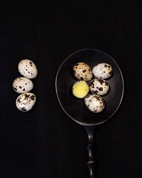 Перепелиные Яйца Яйца Черепах Специальные Черепахи Которых Намеренно Держат Яиц — стоковое фото