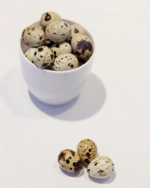 Αυγά Ορτυκιού Αυγά Χελώνας Ειδικές Χελώνες Που Διατηρούνται Σκόπιμα Για — Φωτογραφία Αρχείου