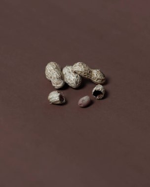 Çiğ fıstık. Yer fıstığı toprakta büyür ve yapraklar toprağın yüzeyinde görünür. Bu fasulye türü toprakta yetişir ve baklagil grubuna aittir. Fıstık modeli. Odak bulanıklığı.