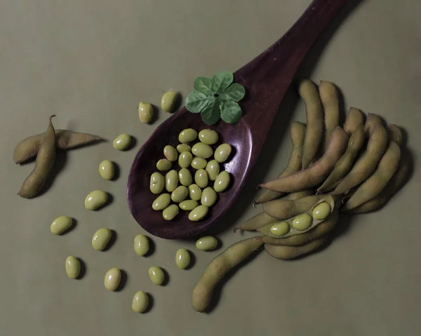 Una Maqueta Frijoles Koro Los Frijoles Koro Son Alimento Que — Foto de Stock