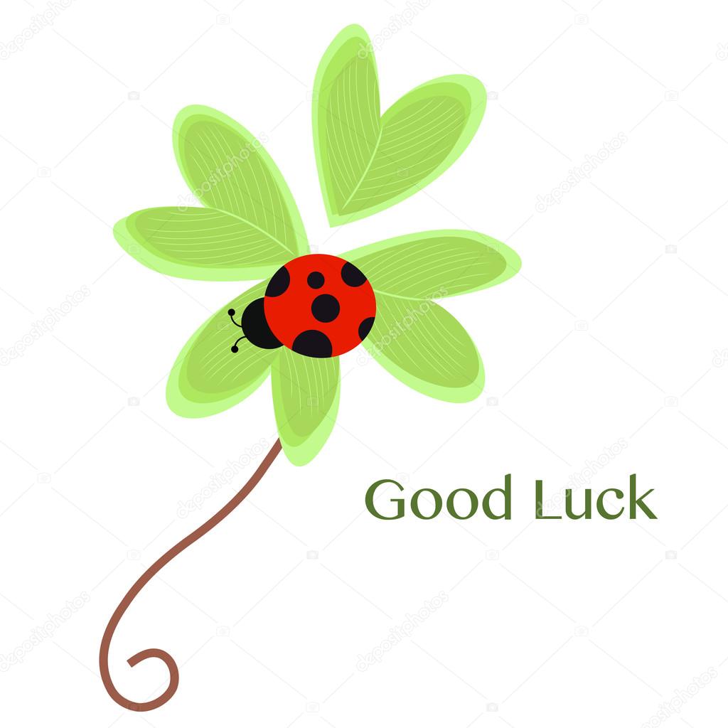 Greeting card with clover and ladybird vector