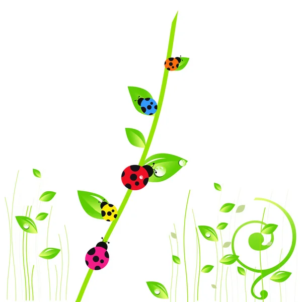 Colorful ladybirds with green flowers vector background — Stock Vector