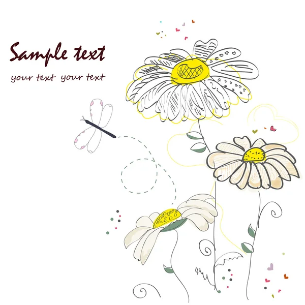 Romantic daisy flower greeting card vector — Stock Vector