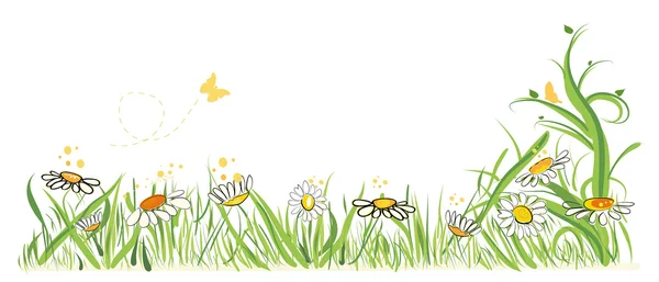 Daisy field in spring time vector illustration — Stock Vector