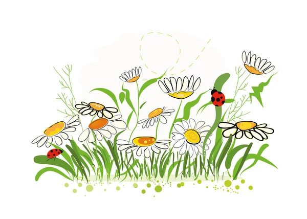 Gänseblümchen Blume Doodle Frühling Hintergrund Vektor Illustration — Stockvektor