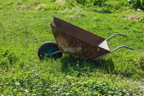 Een Oude Tuinkruiwagen Tussen Gras Tuin — Stockfoto