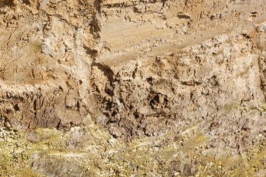Toprağın enine kesitinin arkaplan resmi. Yakın çekim dokusu