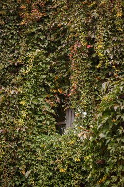 Penceresi olan bir evin aşırı gelişmiş dış görünüşü.