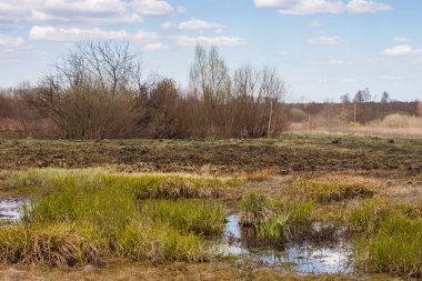 Bahar manzaralı çayırlık, kuru sarı çimenler, orman ve mavi gökyüzü güneşli bir günde bulutlu..