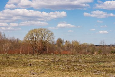 Bahar manzaralı çayırlık, kuru sarı çimenler, orman ve mavi gökyüzü güneşli bir günde bulutlu..