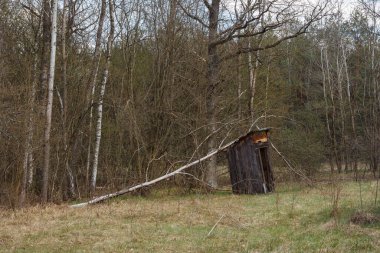 Kuru bir ağaç taşralı ahşap bir tuvalete devrildi.