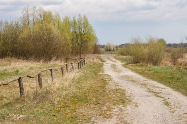 Çitli bir tarla ve ormana giden toprak bir yol. Bahar manzarası