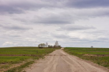 Bulutlu bahar gününe karşı ekili tarlalar arasında toprak yol.