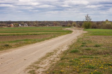 Köye giden tarlaların arasındaki toprak yol. Bahar manzarası
