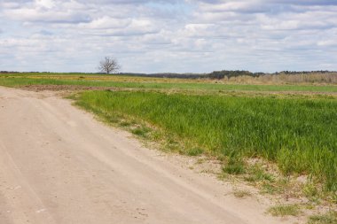 Bulutlu bahar gününe karşı ekili tarlalar arasında toprak yol.