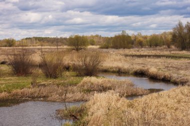 Resmedilmeye değer nehre bakan bahar manzarası, kuru otlarla kıyılar, orman ve güzel bulutlarla dolu gökyüzü. Kırsal ilkbahar manzarası.