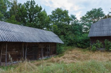 Yeşil ağaçlar ve uzun otların arasında terk edilmiş eski ahşap bir ev. Kırsal alan. İyi akşamlar.