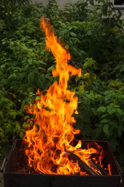 Çimenliğin arka planında yanan bir brazier 'da ateş ve odun.