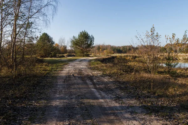 Брудна Дорога Через Осінній Ліс Сонячну Погоду Осінній Пейзаж — стокове фото