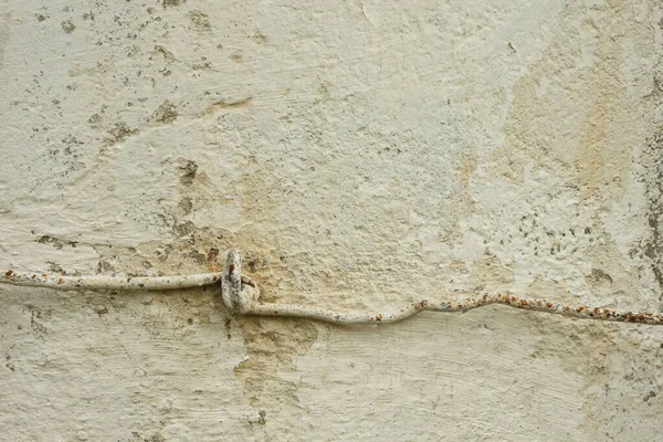 Metal Old Wire Background Painted Concrete Surface — Stock Photo, Image