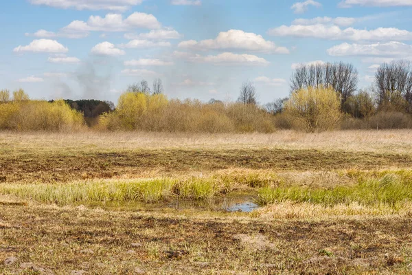 Весняний Пейзаж Видом Луг Сухою Пофарбованою Травою Лісом Блакитним Небом — стокове фото