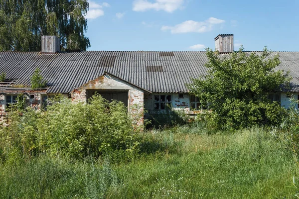 Ruinen Eines Alten Bauernhofes Zwischen Büschen Und Bäumen — Stockfoto