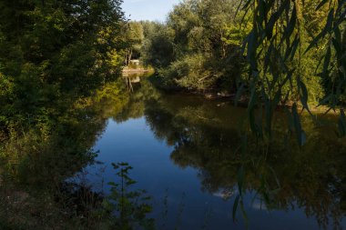 Nehirli resimli bir manzara manzarası. Nehir yatağını gören manzara. Fazla gelişmiş kıyılar