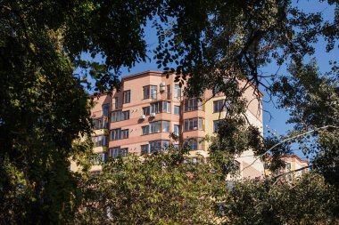 Ağaçlarla çevrili bir daire.