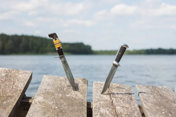 Twee Jachtmessen Vast Planken Achtergrond Van Het Meer — Stockfoto