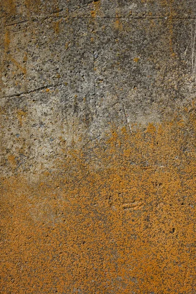 Старая Бетонная Поверхность Покрыта Лишайниками — стоковое фото