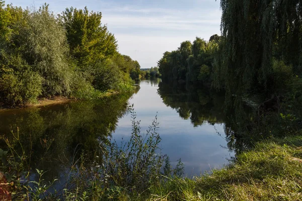 View of a picturesque landscape with a river. Landscape overlooking the riverbed. Overgrown shores