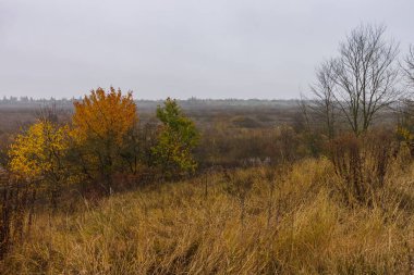 Sonbahar kasvetli manzarası. Tepeden vadiye nehir manzarası. 